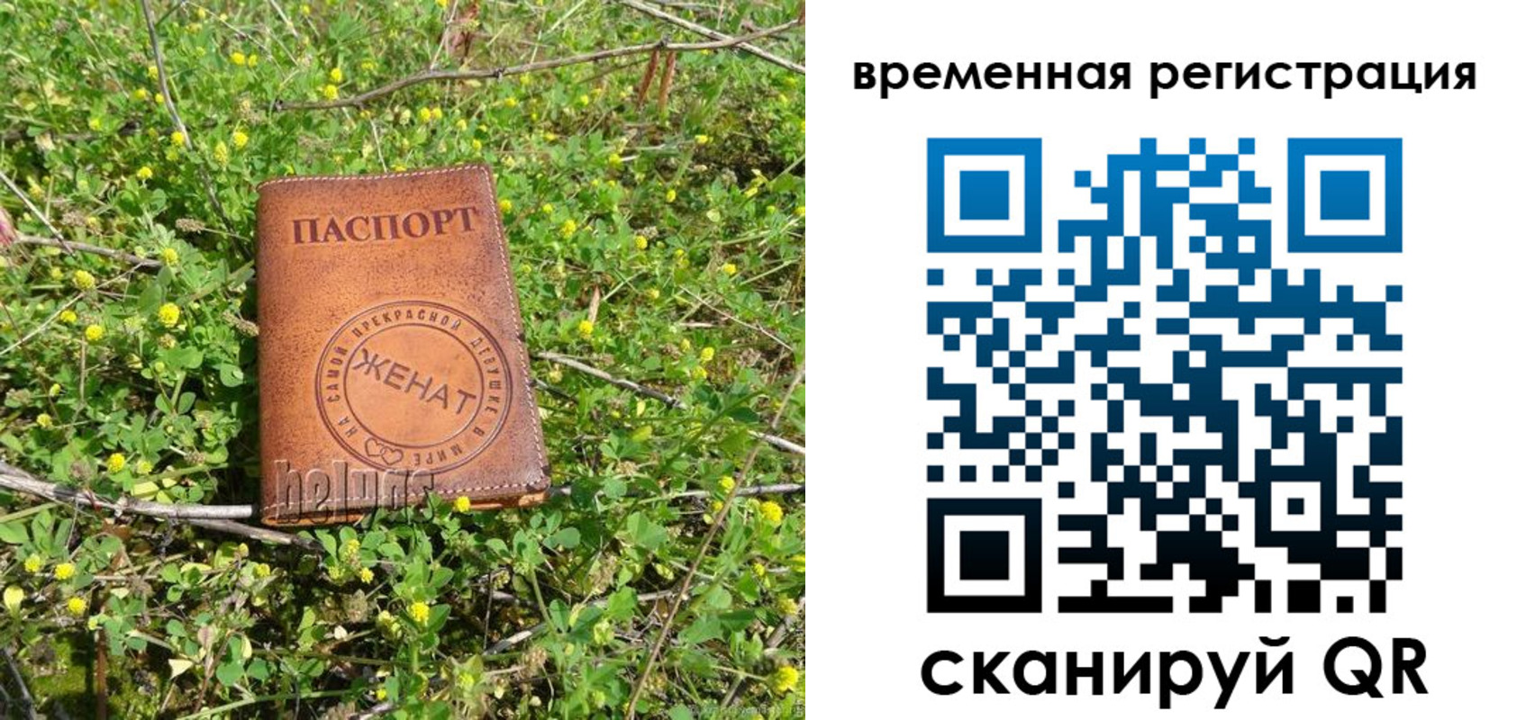 прописка регистрация в Старом Осколе